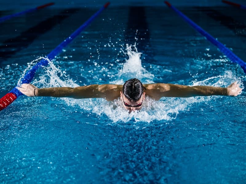 Sailboat racing on the bay