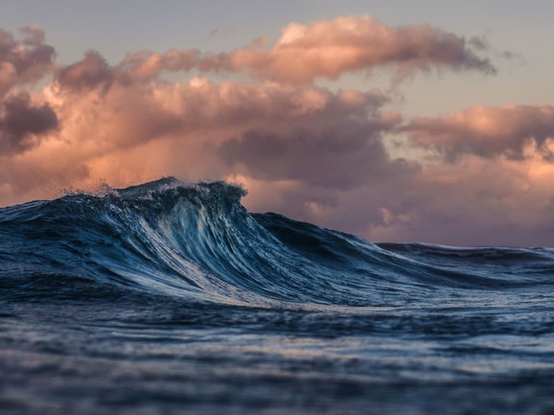 Marina with boats at sunset